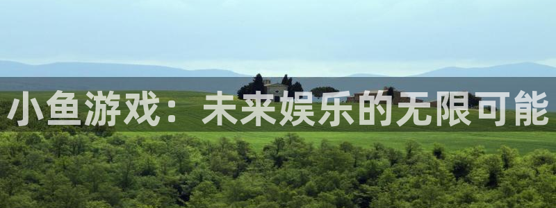 小鱼游戏：未来娱乐的无限可能