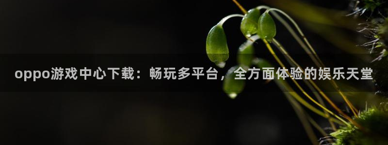 尊龙休闲会所怎么样啊：oppo游戏中心下载：畅玩多平台，全方