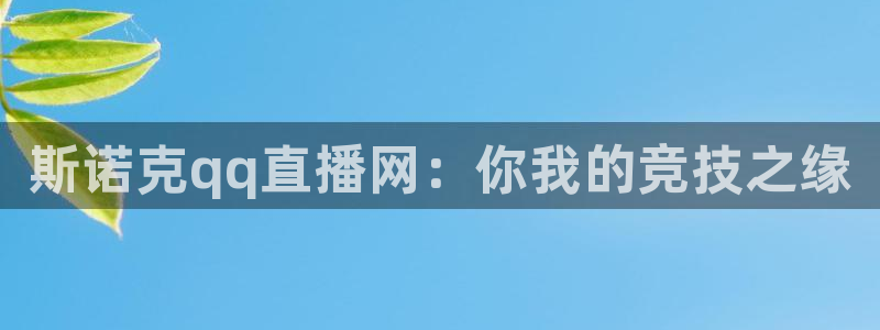 乐球吧jrs手机直播：斯诺克qq直播网：你我的竞技之缘