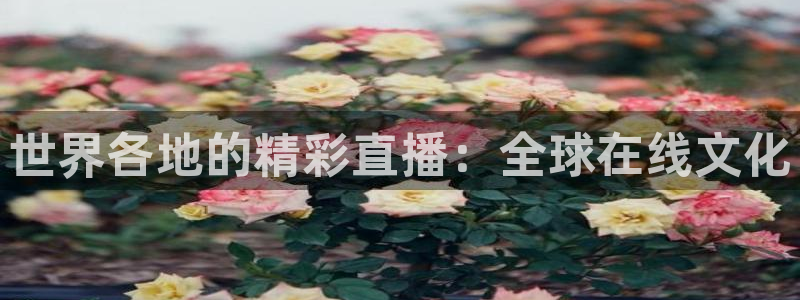 乐球在线直播：世界各地的精彩直播：全球在线文化