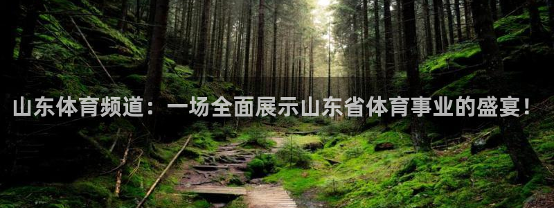 乐球免费直播nba：山东体育频道：一场全面展示山东省体育事业的盛宴！