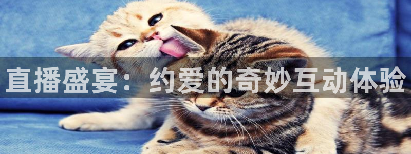 乐球在线观看免费直播：直播盛宴：约爱的奇妙互动体验