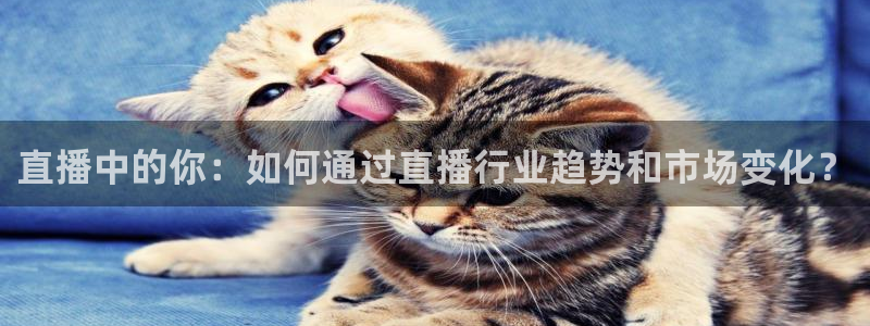 乐球直播吧：直播中的你：如何通过直播行业趋势和市场变化？