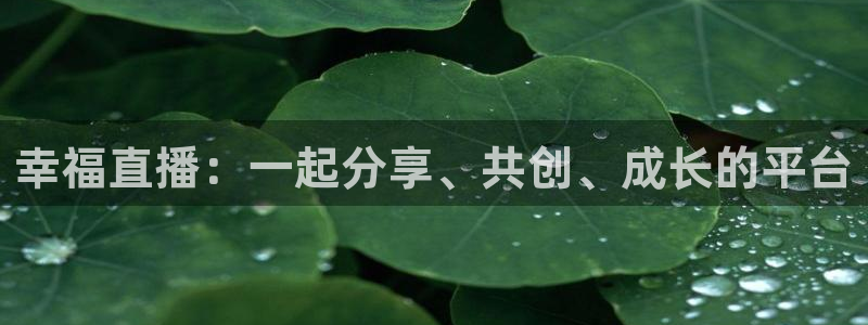 乐球直播免费体育直播足球：幸福直播：一起分享、共创、成长的平台